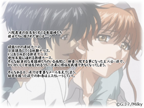 【あなたの知らない看護婦1】のストーリー