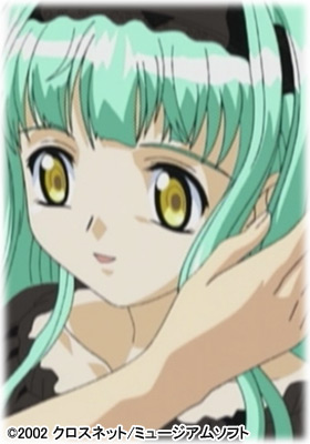 檜(ひのき)