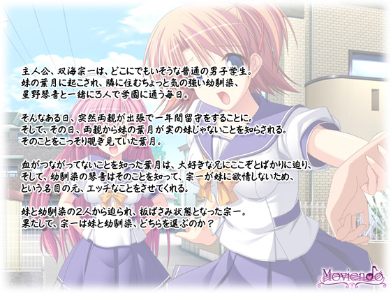 【HSK 〜Hな妹とツンな幼馴染に挟まれADV〜】のストーリー