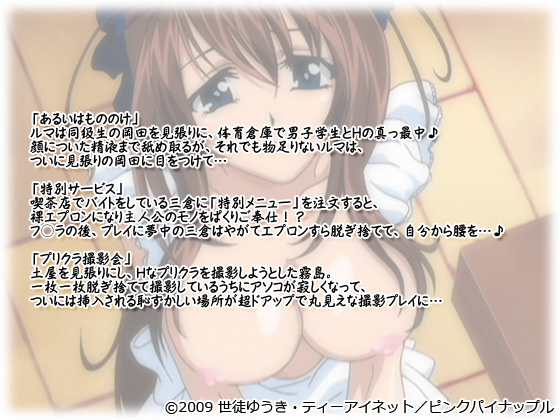 【ストレッタ Contents.1】のストーリー