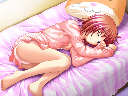 �T���v���摜