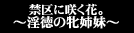 �֋�ɍ炭�ԁB�`�����̖Ďo���` 