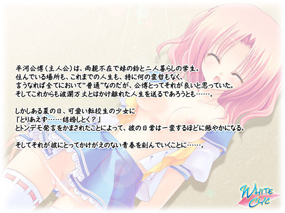 【夏色ストレート!】のストーリー