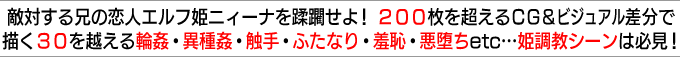 G΂Z̗lGtPjB[iWI200𒴂bfrWAŕ`30𒴂֊Eَ튭EGEӂȂE㵒pEetccPV[͕KI