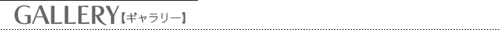 GALLERYyM[z