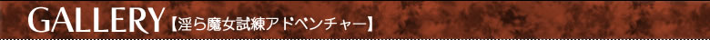 GALLERYy疂Ahx`[z