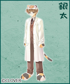 ⑾