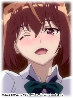 ���� �z�ԁi������ ��񂩁j