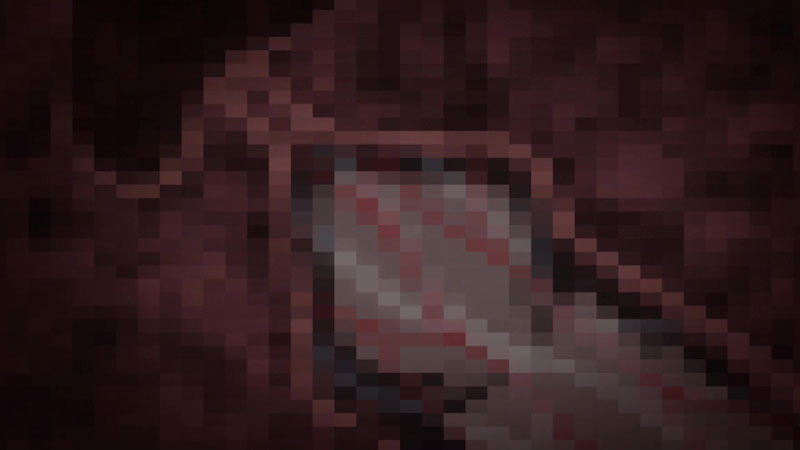 �X�i�b�v�V���b�g