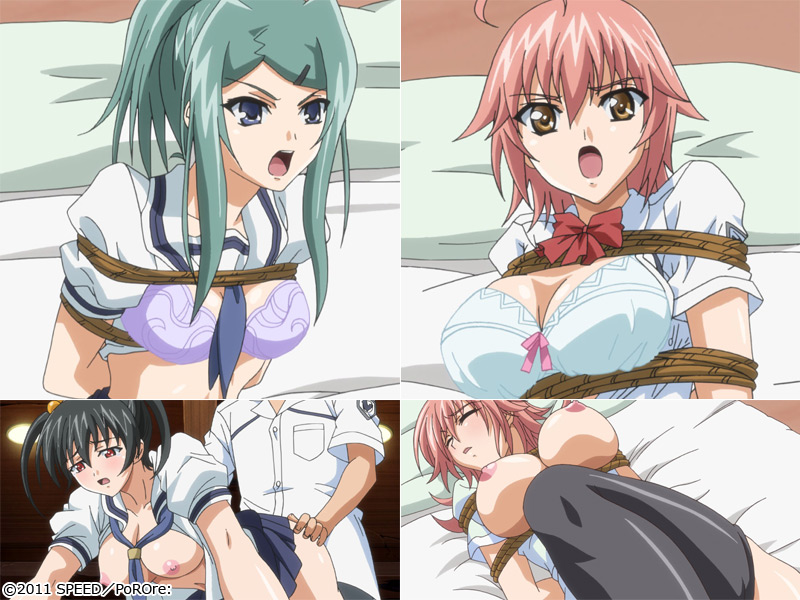 y2@ߓss ` qҁ`z̃V[1