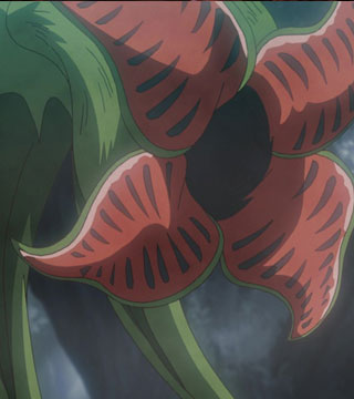 �A���l��