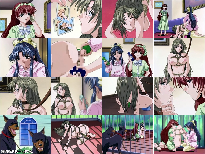 �y���J���� �`���C�h���`��` ���b�z�̃V�[��2