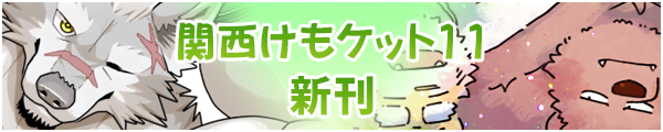 �֐������P�b�g11�V��