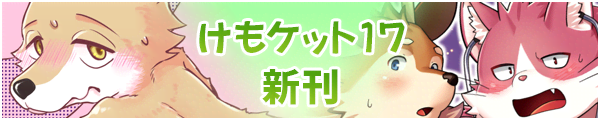 �����P�b�g17�V��