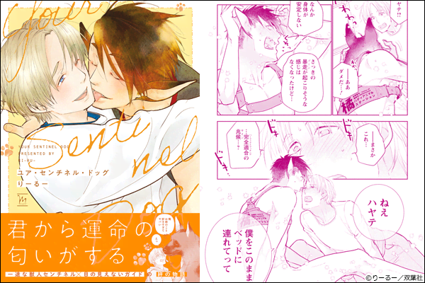 ���A�E�Z���`�l���E�h�b�O �y���ʕ`�����낵����t���z