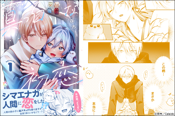 �^�����ȏ��� 1