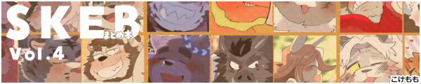 []SKEB܂Ƃߖ{ Vol.4