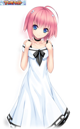 \Z t