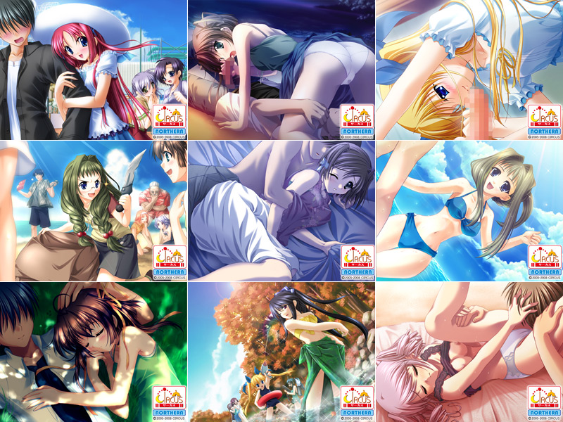 yD.C.After Seasons`_EJ[|` At^[V[YYzCxgCG01