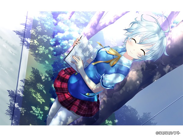 �C�x���gCG07