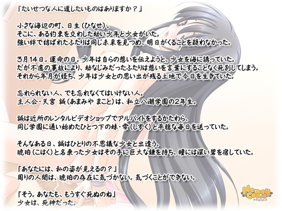 y_̐ڕ͕ʗ̖zXg[[
