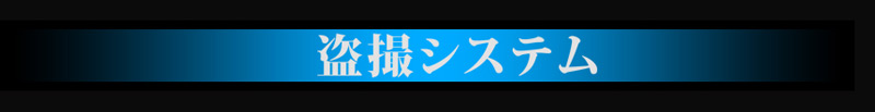 VXe01