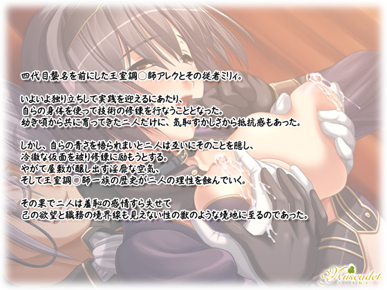 yNachtmusik Zeroz̃Xg[[