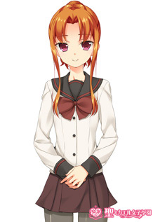 hc 
