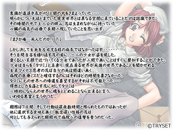 yْp `pJɔG锒߁`z̃Xg[[