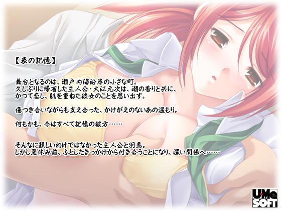 ytF`3 ` Hҁ`z̃Xg[[1