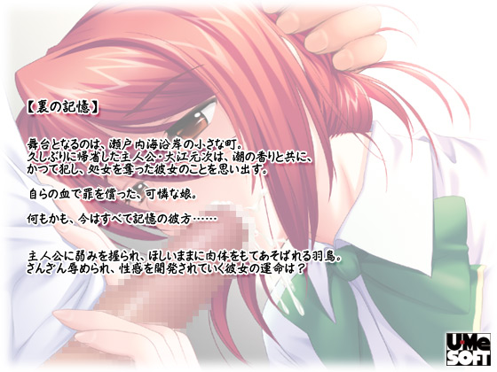 ytF`3 ` Hҁ`z̃Xg[[2