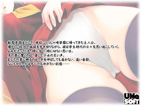 ytF` ` Sҁ`z̃Xg[[